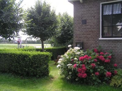 This is picture 1